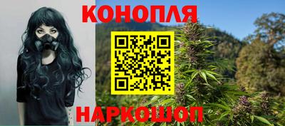 гидропоника Кунгур