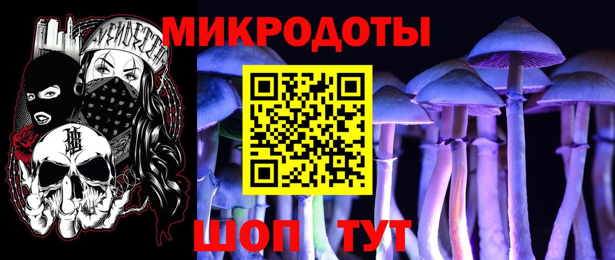 Псилоцибиновые грибы мухоморы  Вход с VPN  Троицк 